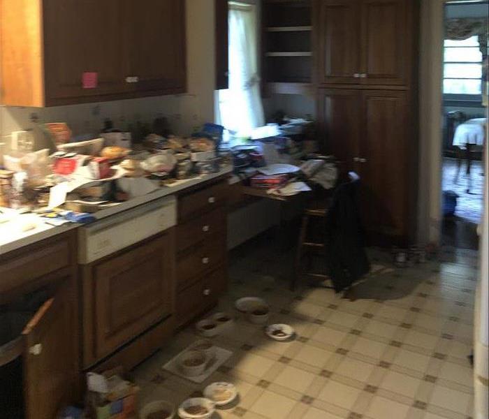 Cluttered, Dirty Kitchen