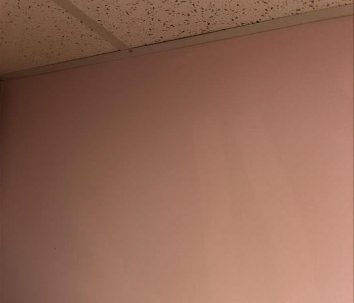 Pink wall covered in soot