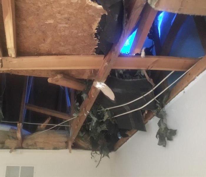 ceiling in living room open with tree through it