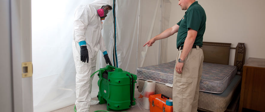 Lansdale, PA mold removal process